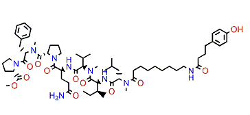 Hoshinoamide B